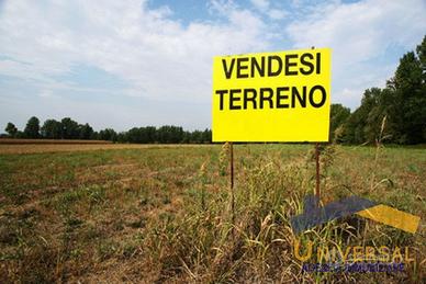 TERRENO AGRICOLO DI 5343 MQ.
