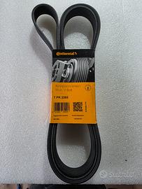 Cinghia servizi Honda crv 