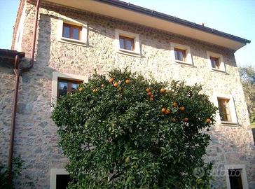 Rustico / Casale di 620 m² con più di 5 locali e p