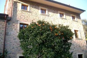 Rustico / Casale di 620 m² con più di 5 locali e p