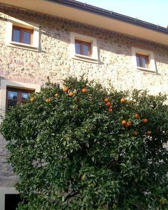 Rustico / Casale di 620 m² con più di 5 locali e p
