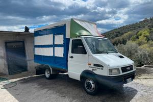 Daily trasporto animali