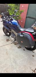 moto TDM 900