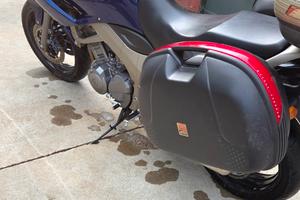 moto TDM 900