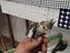 Immagine 4