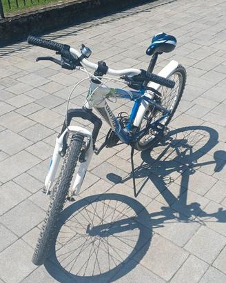 Bicicletta Torpado ragazzo