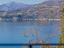 Immagine 23
