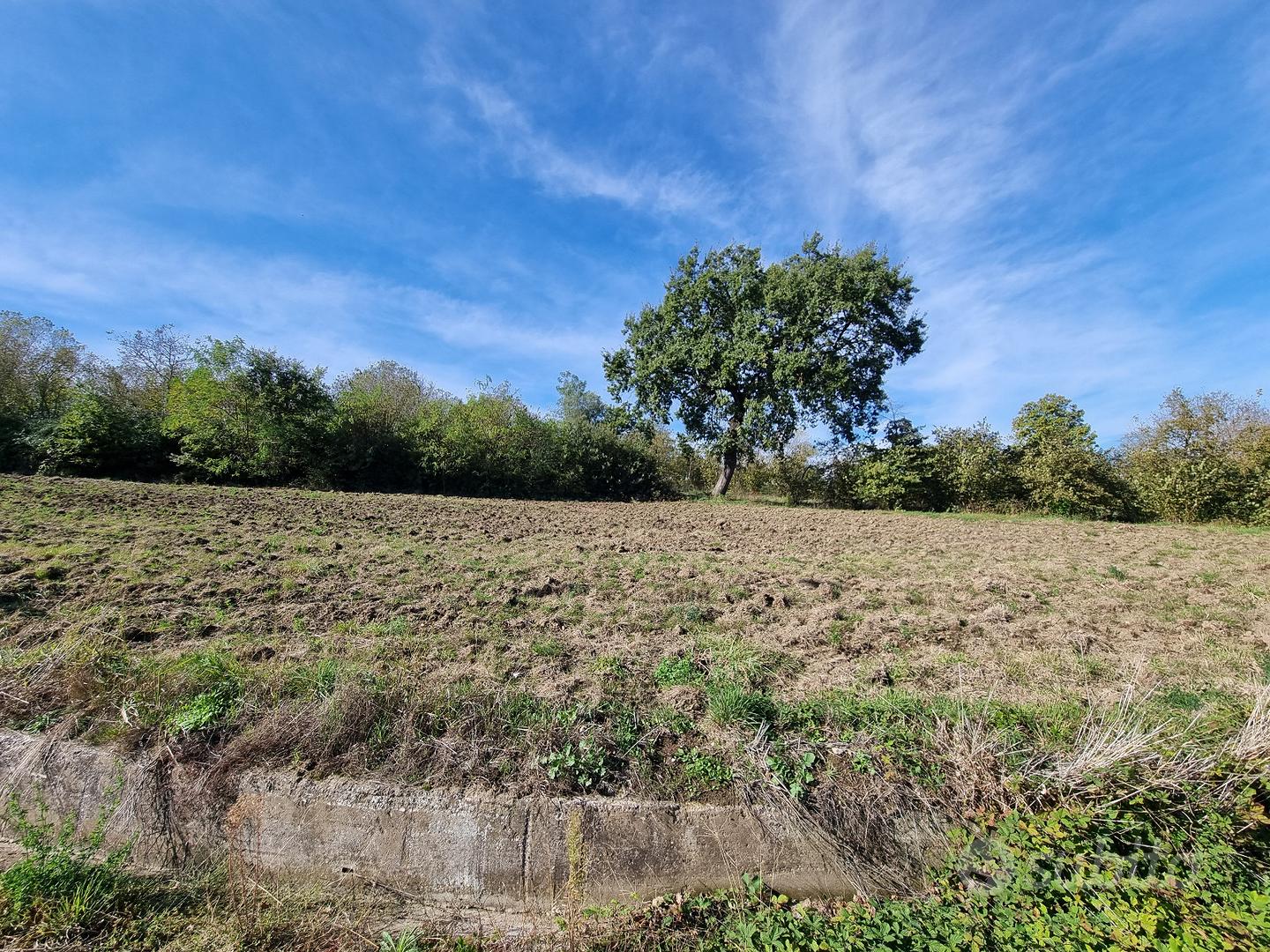Terreno agricolo pianeggiante e fronte strada - Vista 2