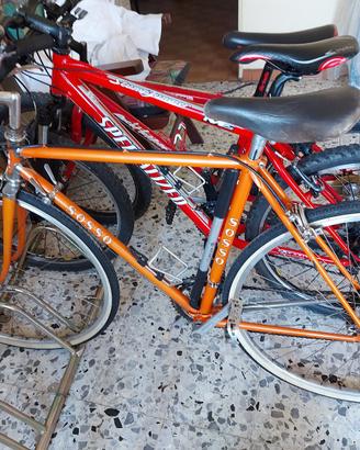 City bike Sosso vintage