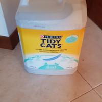 lettiera gatto 