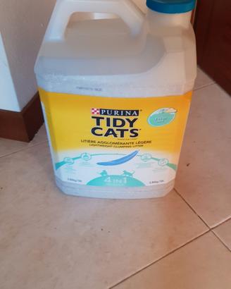 lettiera gatto 
