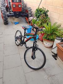 Bicicletta