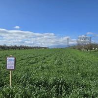 TERRENO EDIFICABILE EURO 27.000,00