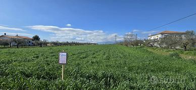 TERRENO EDIFICABILE EURO 27.000,00