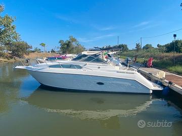 Regal 260 Valanti