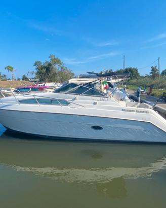 Regal 260 Valanti