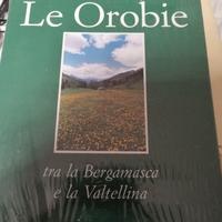 Le Orobie tra la Bergamasca e la Valtellina-Gamba