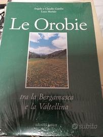 Le Orobie tra la Bergamasca e la Valtellina-Gamba