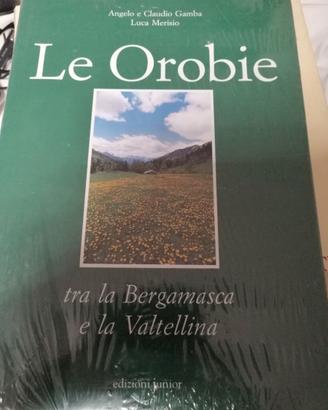 Le Orobie tra la Bergamasca e la Valtellina-Gamba
