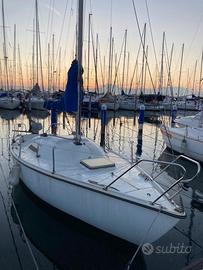 Barca a vela boxer 24 - 7,2 metri