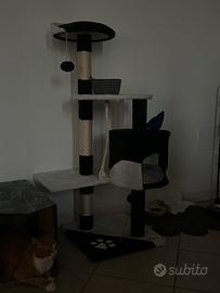 Tiragraffi gatto