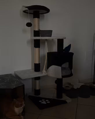 Tiragraffi gatto