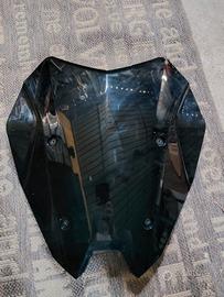 Cupolino scuro BMW R1250