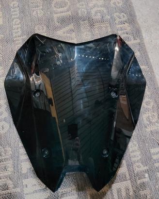 Cupolino scuro BMW R1250