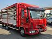 IVECO EUROCARGO 80E21 CENTINATO ALZA E BASSA MT5