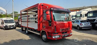 IVECO EUROCARGO 80E21 CENTINATO ALZA E BASSA MT5