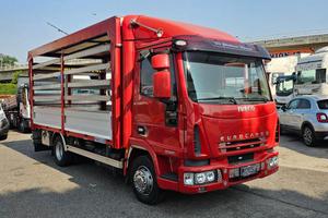 IVECO EUROCARGO 80E21 CENTINATO ALZA E BASSA MT5