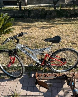 Bicicletta da 26