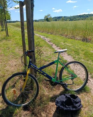 Bicicletta MTB anche per ragazzi