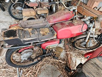  motobi motomorini gilera200 benelli250 mvagusta