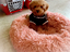 Immagine 15