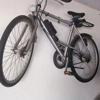 Biciclette da passeggio