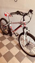 Bicicletta MTB