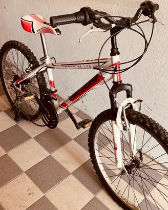Bicicletta MTB