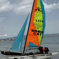 Hobie cat Dragoon