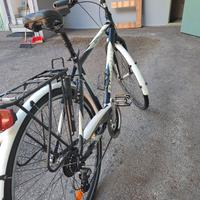 bicicletta da uomo 