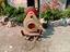Immagine 5