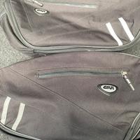 Coppia borse laterali