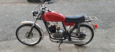 Moto beta camoscio