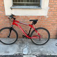 Mtb front triestina wilier