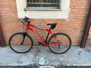 Mtb front triestina wilier