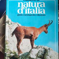 Conoscere la natura d'Italia 8 vol 1983 DeAgostini