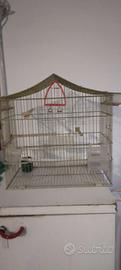 Gabbia per uccelli