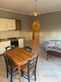 Bilocale ammobiliato zona tor vergata