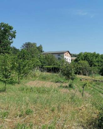 Rustico / Casale di 400 m² con più di 5 locali a P