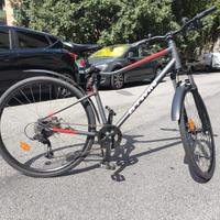 biciclette 